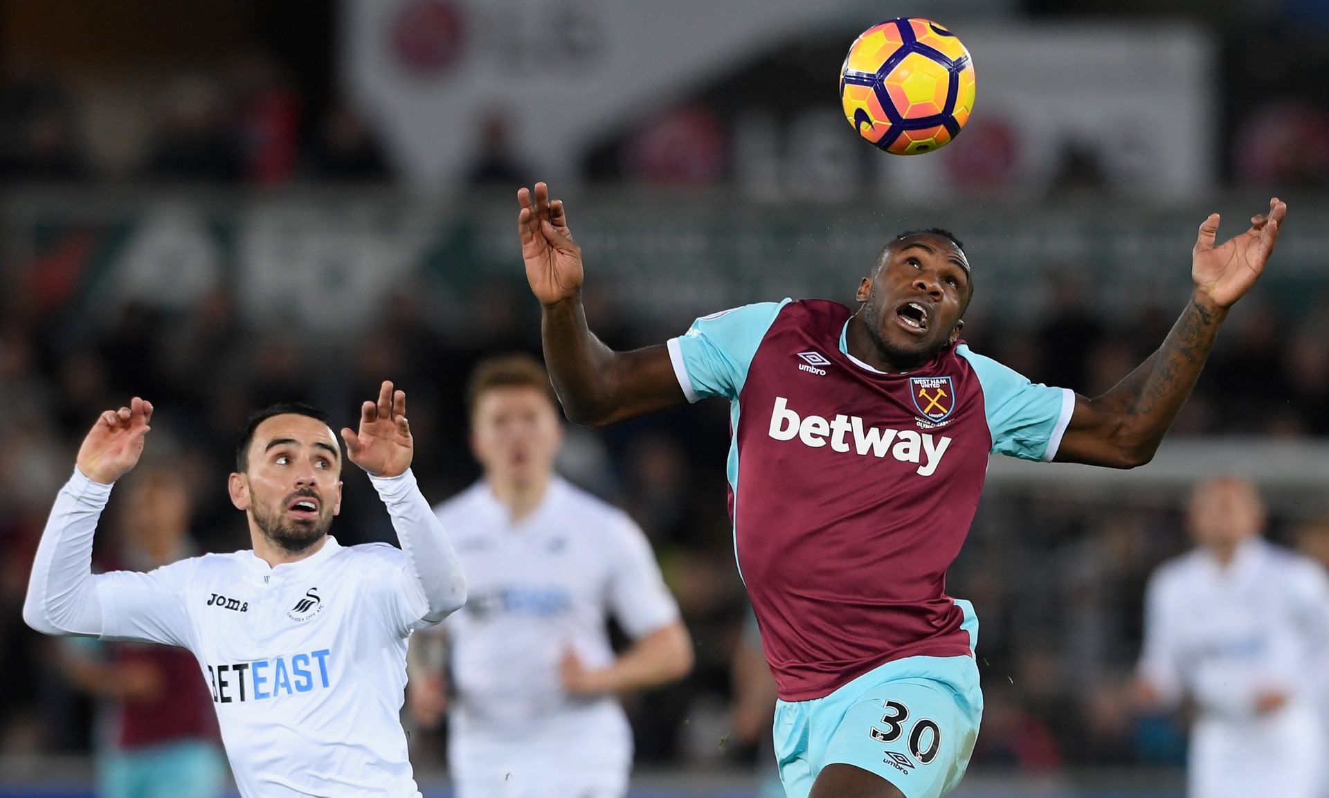 场的收获 场的收获